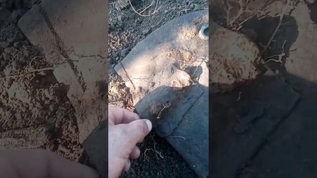 Шурфлю погреб.