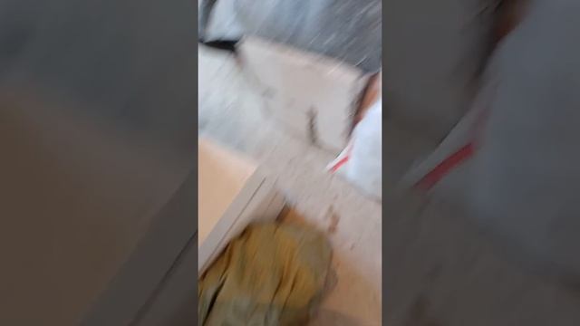клей для газобетона,возведения стен.