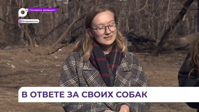 В Приморье чипировать собак необходимо до 1 апреля