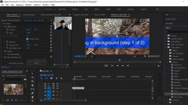 How to STABILIZE videos with Adobe Premiere Pro