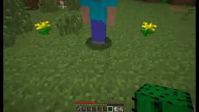 Совместное LP в minecraft. 2 - часть. Замок.