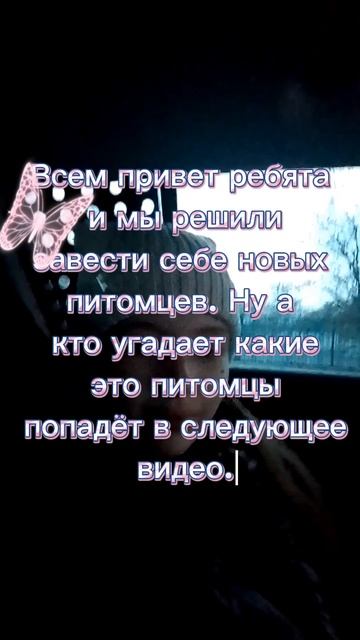 мы решили завести себе новых питомцев