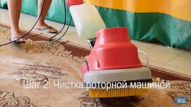 чисточистим