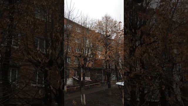 13 января 2021 г.