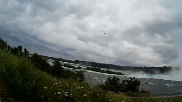 Прогулка у Ниагарского водопада, смотрим клумбы ищем черный орех
