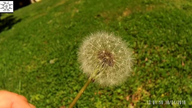 Ready To Fly - 20160418