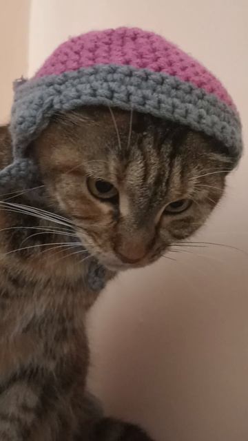 КАНДИБОБЕР