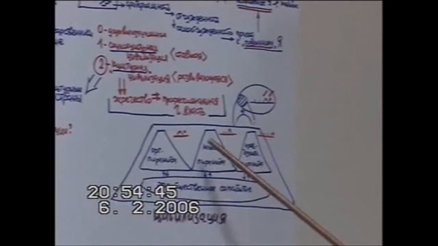 Пирамиды как инструментарий цивилизации  Зима 2006