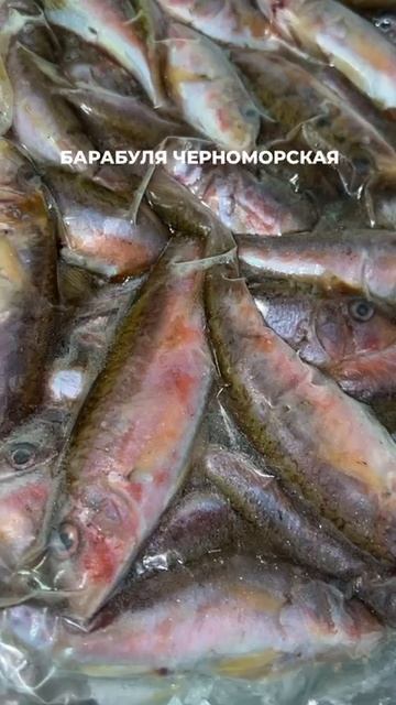 Барабулька Мы умеем продавать рыбу в розницу, знаем что такое сервис , кайфуйте с нами