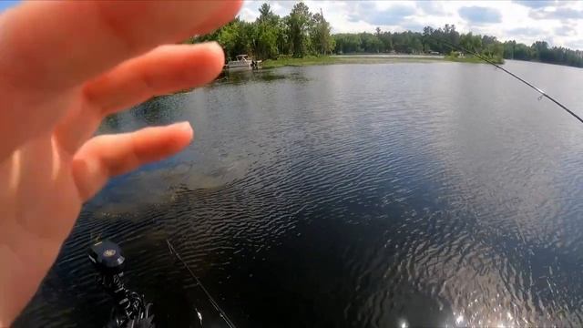 Рыбалка наживка мышь