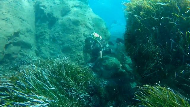 Pomos and Limni Dives