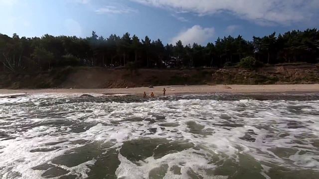 Море, Куликово 2021