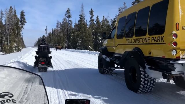 Bison charges at snowmobilers in Yellowstone (as seen from snowmobile #9!) (Part 3 of 3)