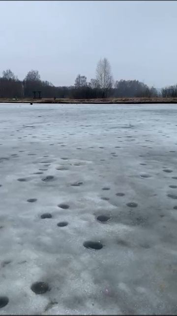 Обзор водоёма РК "Фишка" Петряиха