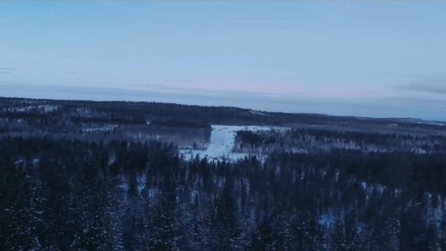 SVID_20250312_154820_1.mp4