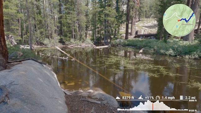 Hike with Me: Olmsted Point, Yosemite National Park