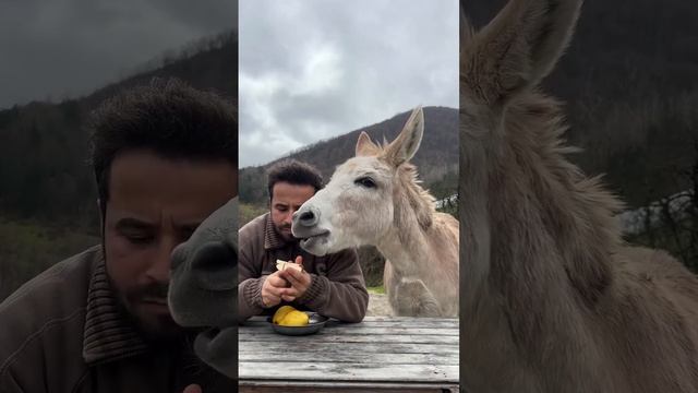 😍Самое доброе видео!

Вот ради таких роликов и хочется заходить в интернет.