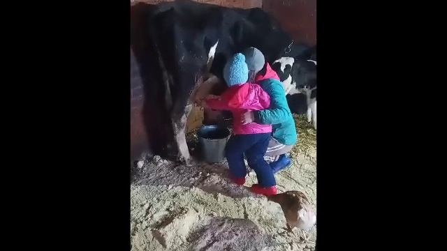 Мар сыӵе со кузятэм? (Ижболдина Анжелика)