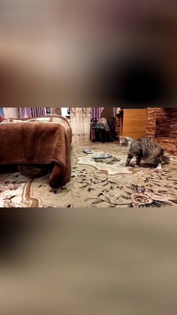Поймай ты меня или я прймаю тебя 😆😆