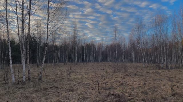 Кудина Гора