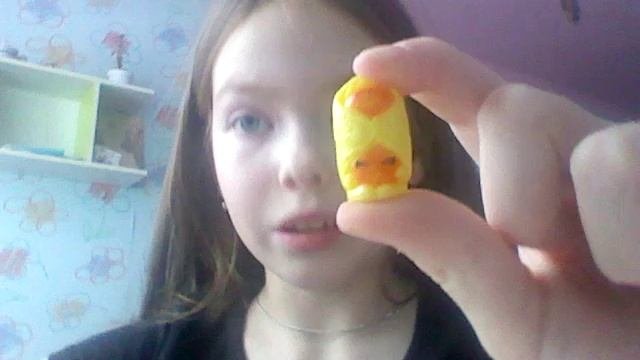 Мой  новогодний подарок шопкинс