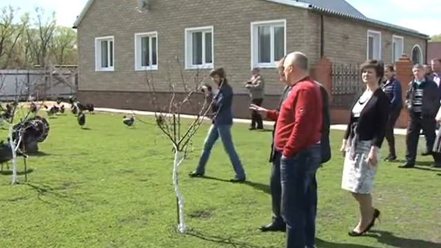 Развитие пчеловодства