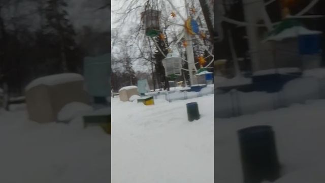 VID-20250312-WA0041