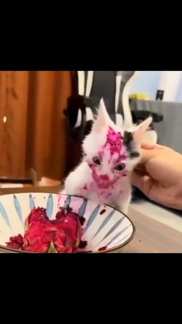 Поймали на месте преступления😀