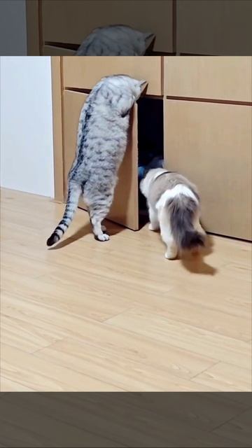 1000076438.mp4