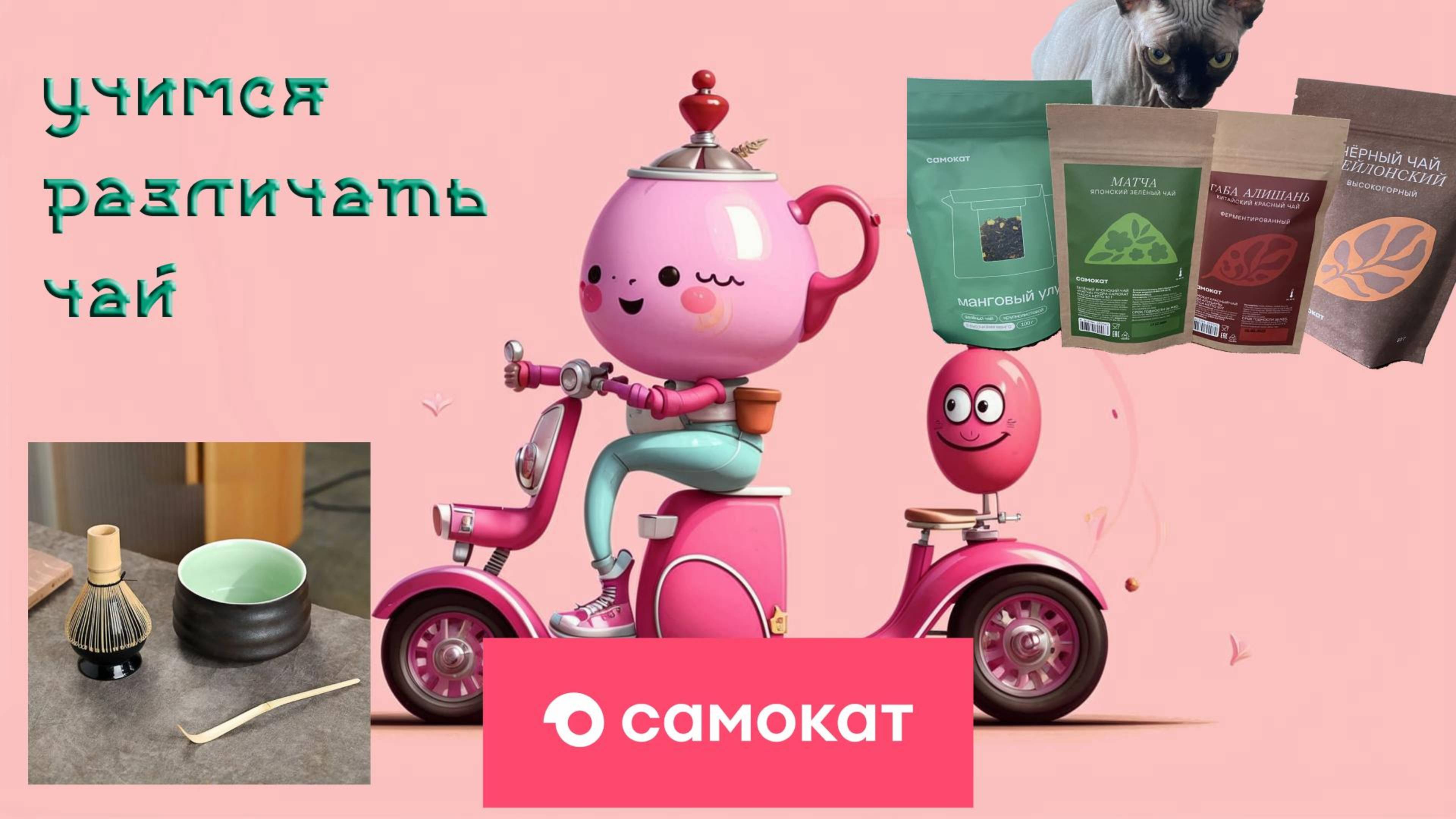 #знакомство с чаем Самоката | Учу отличать чай | Готовим матча