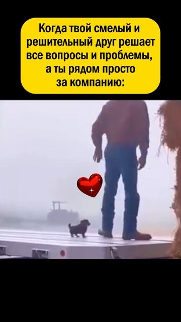 👉 Ты знаешь, кому отправить 😁