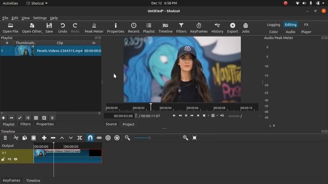 Shotcut Proxy Clip (for faster editing) | Shotcut tutorial in hindi