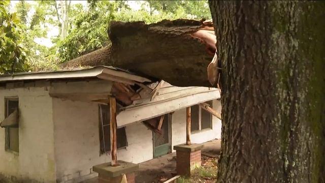 Trees down, damage left behind after storm rolls through Rockdale County