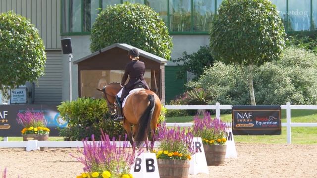 Charlotte Dicker & Catherston Timeless CDI 1 Star Inter I at NAF Hartpury Festival of Dressage 2024