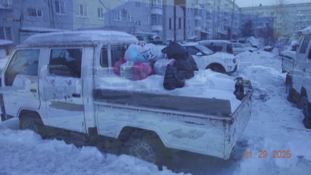 Свиньи в доме