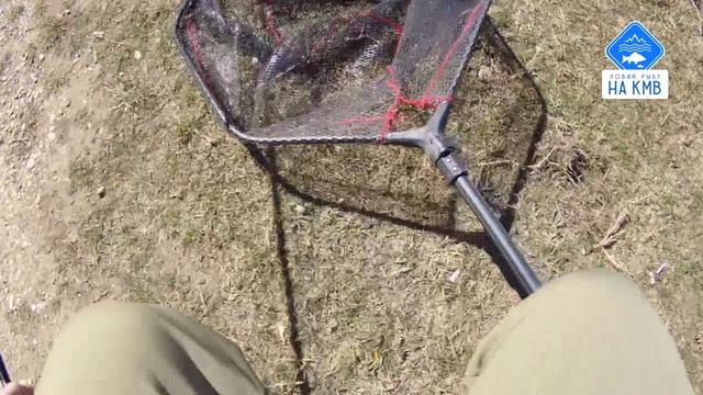 Рыбалка(КМВ). Ставропольский край. Открытие сезона по карпу 2025😉🎣