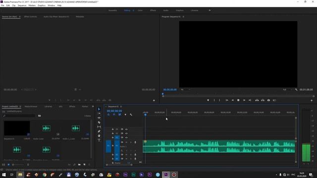 Premiere pro ovozdagi shumni yo'qotish || овоздаги шумни ёкотиш