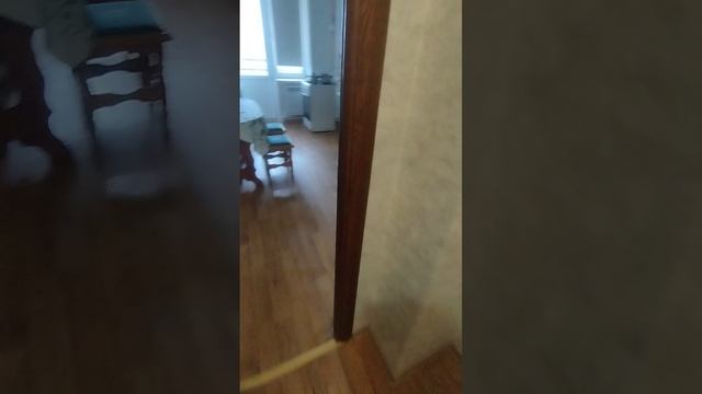 VID_20250312_085009.mp4