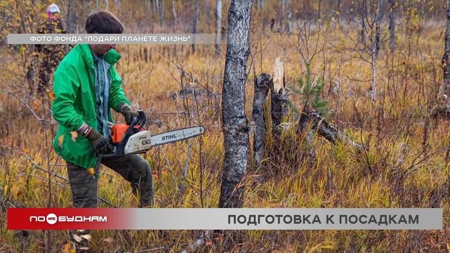 Подконтрольное сжигание сухостоя провели на территории нацпарка у Байкала