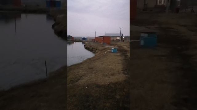Обстановка 12 марта