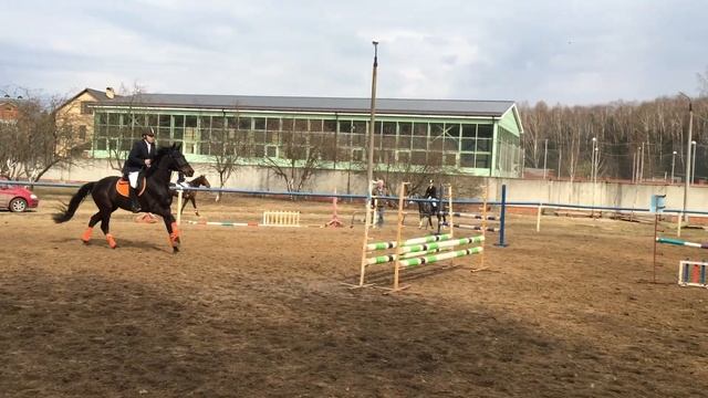 Соревнование по конкуру Евгений выступает на Прибое (ШВЕ Династия)