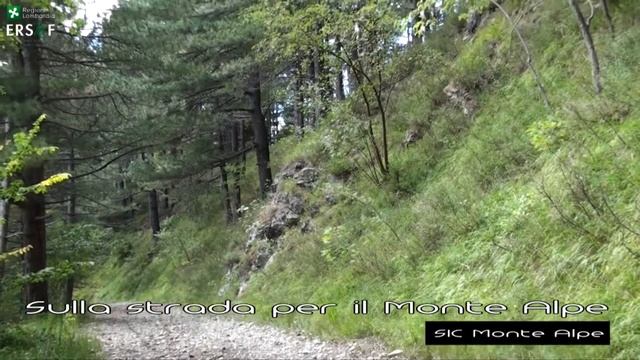 SIC Monte Alpe