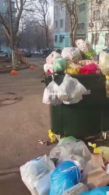 НЕ ВЫВОЗЯТ: на Немировича-Данченко, 76/6 тоже не убирают мусор уже неделю.