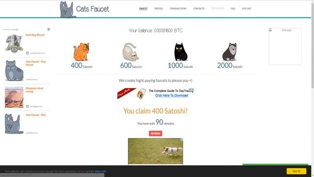 Биткоин кран Cats Fauset. Меняем айпи адрес и удваиваем сатоши.