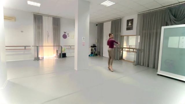 Swan Lake pas de trois male variation