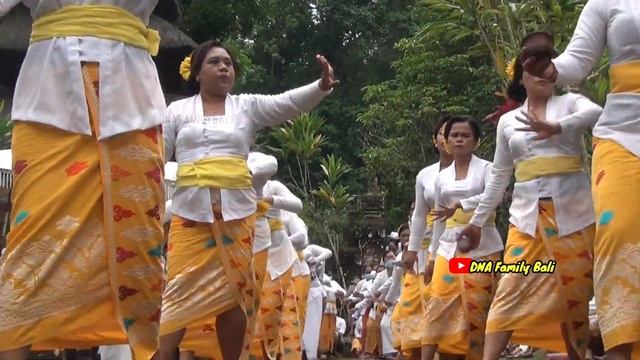 REJANG PEMENDAK/PENGIDER || Tari Sakral Warisan Pura Batukaru Tabanan (DNA Family Bali)