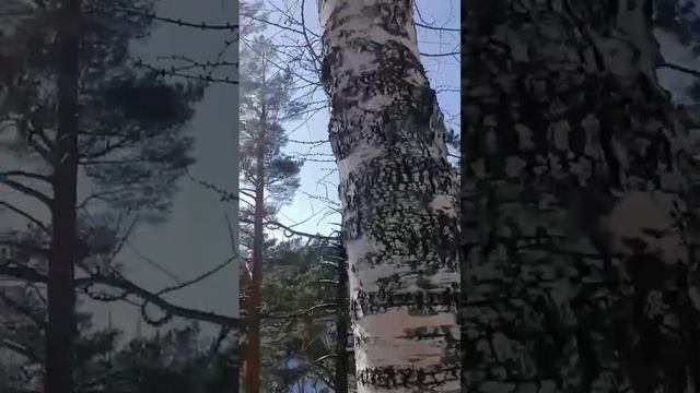 поездка на Аршан 1-3 марта