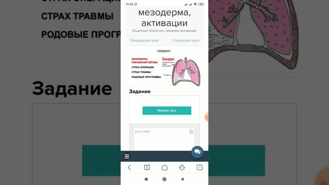 5.7 Старая мезодерма, активация