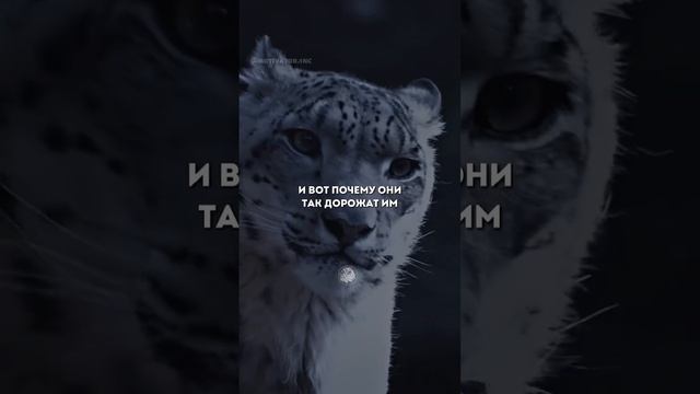 🌈Друзья, подписывайтесь!