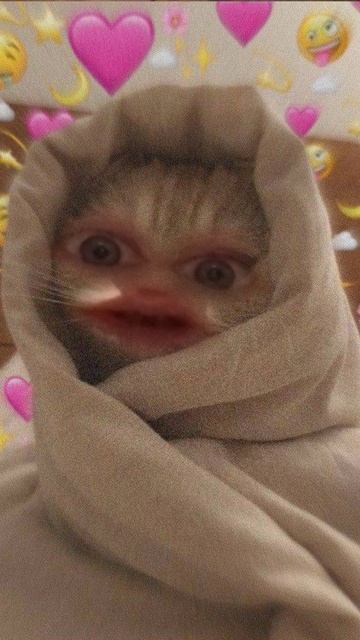 Я - хороший котейка
